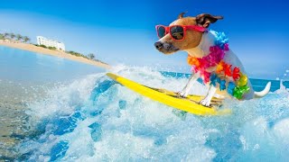 Trip.com Review 2021-Most Comprehensive Online Travel Agency