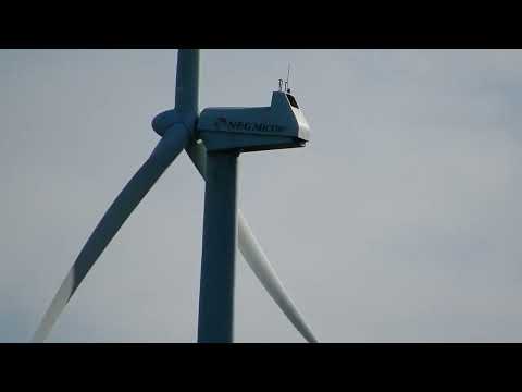 neg micons in sweden