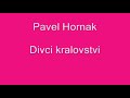 Dívčí království - Pavel Horňák