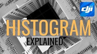 DJI Go 4 | How to use the Histogram