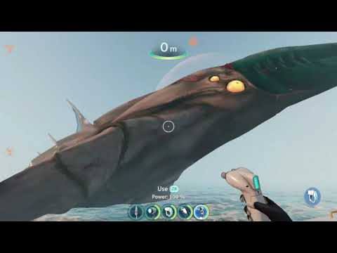 Subnautica Below Zero airborne Void chelicerates