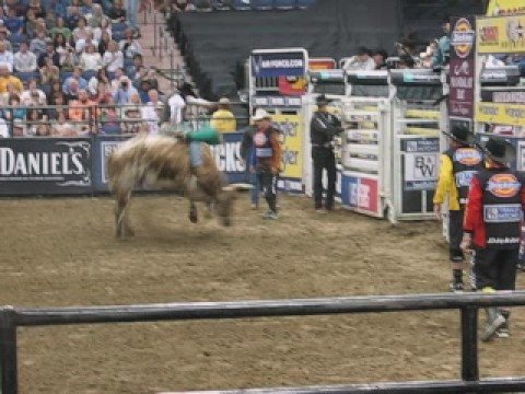 The Iceman Columbus- Brian Herman