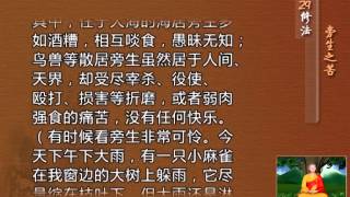 前行实修法（动画版 1-92修法） >> 第29修法：旁生之苦