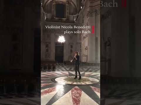 Solo violinist plays in empty cathedral acoustic 😲 #Shorts