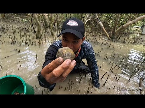 EP764-P1 - Baked Lokan ni Harabuns | Pangunguha ng Lokan