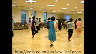 preview picture of video 'Mini Barrel Line Dance.avi'