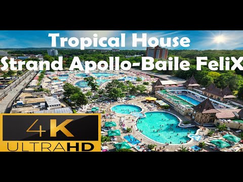 Appolo Felix 4k Pool: Immerse Yourself in Tropical House Vibes | 4K Ibiza Atmosphere