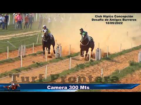 Chapo - Desafio de Amigos Burrwros en Club Hipico Concepciòn 18/09/22