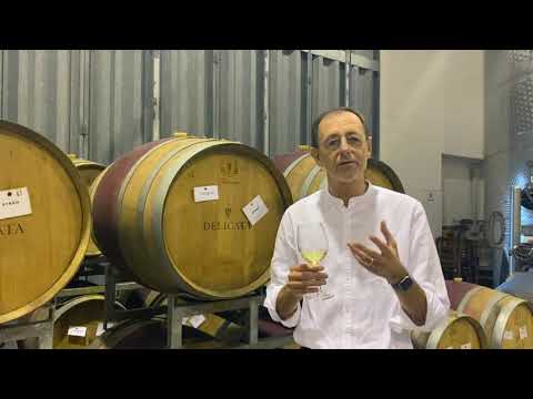 A guide to Gellewza and Girgentina: Malta's native grapes with Georges Meekers