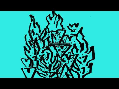 Salomé Le Chat & The Mekanism - A Love Affair