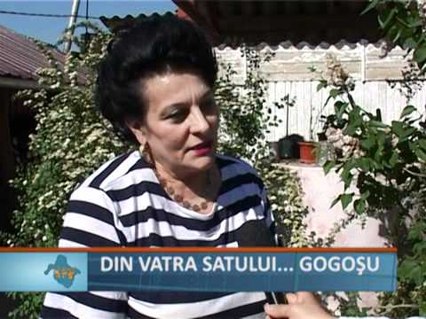 Din vatra satului Gogosu.flv