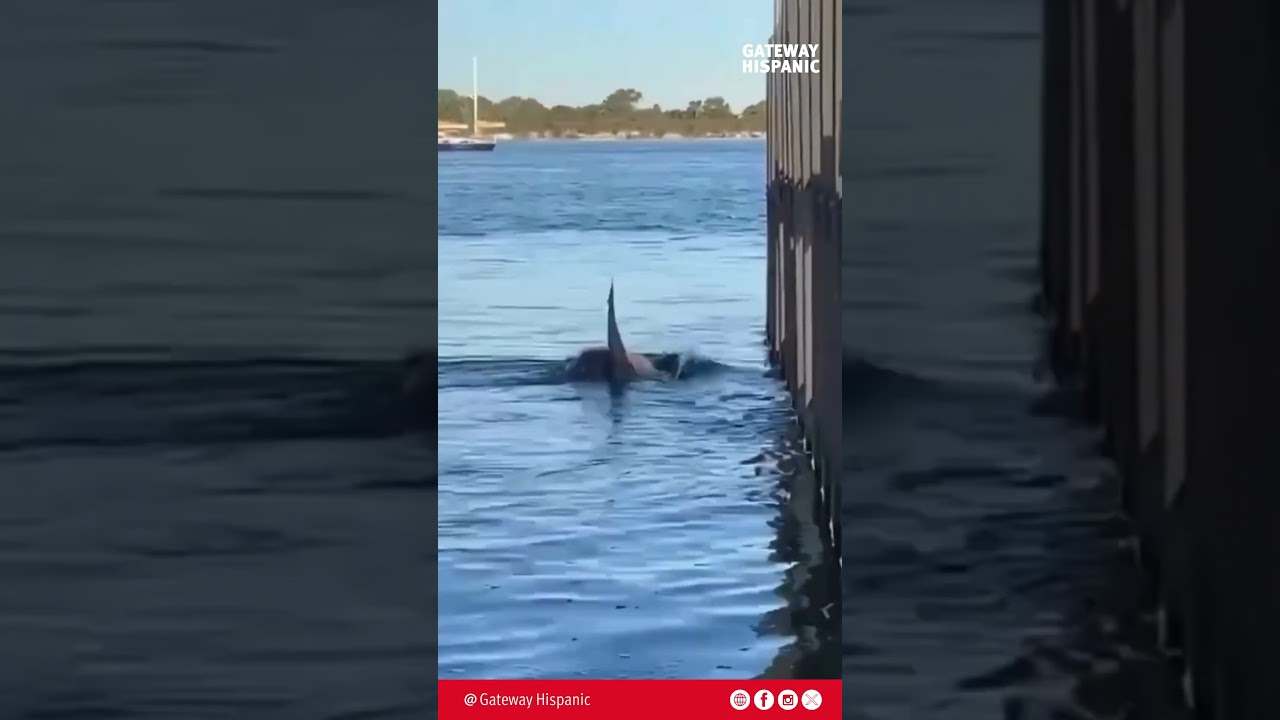 What seemed like an act of kindness ended in total tragedy.