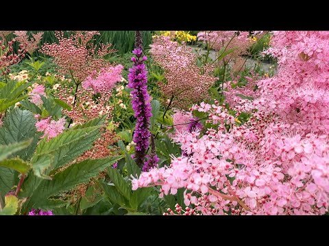 ROŚLINY DO BUDOWY STAWU KĄPIELOWEGO #BIOBASEN.PL