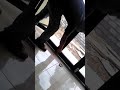 Inspirasi cara memasang pintu lipat alumunium, paling seru!