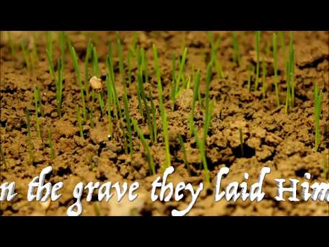 Now The Green Blade Rises - SDA Hymnal 175