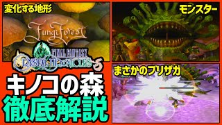 【FFCC攻略】キノコの森を徹底解説【クリスタルクロニクル】