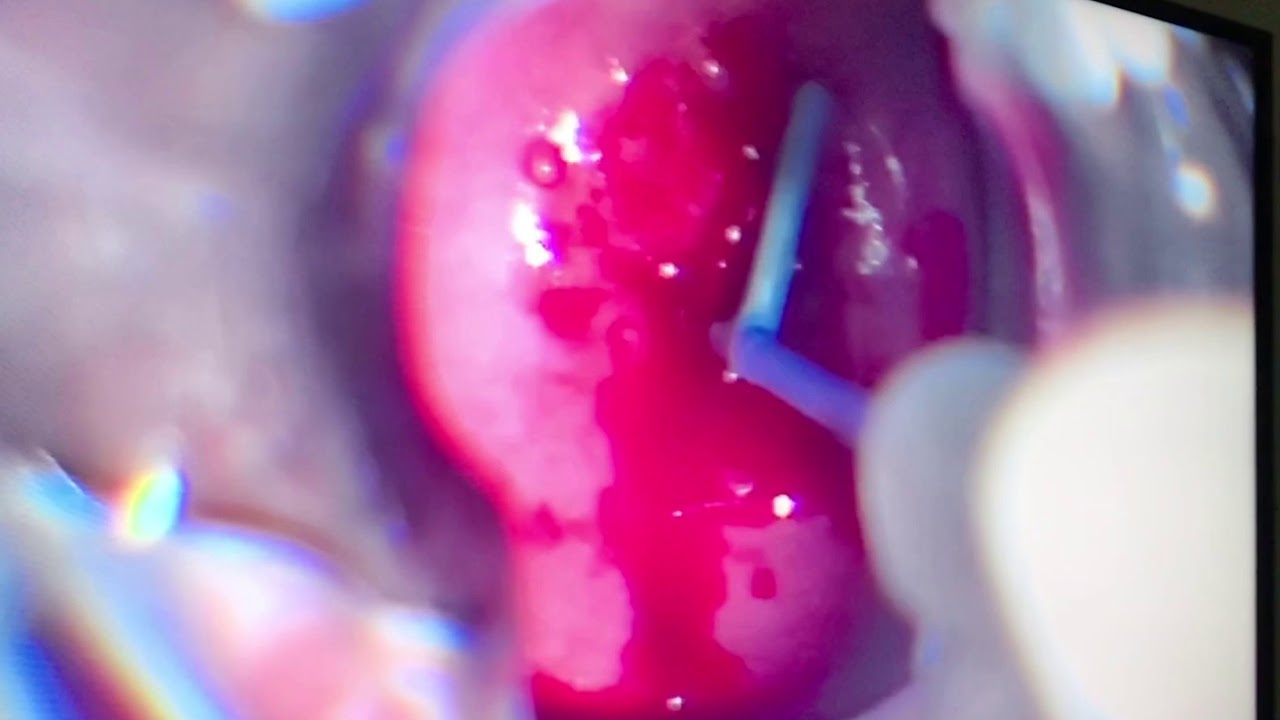 Ejandre Lunieres Santiago-10