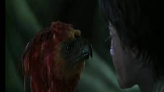 First Last Anybody - Phoenix (demo)