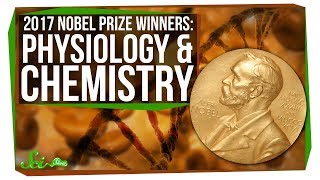 The 2017 Nobel Prizes: Biological Clocks and Microscopy