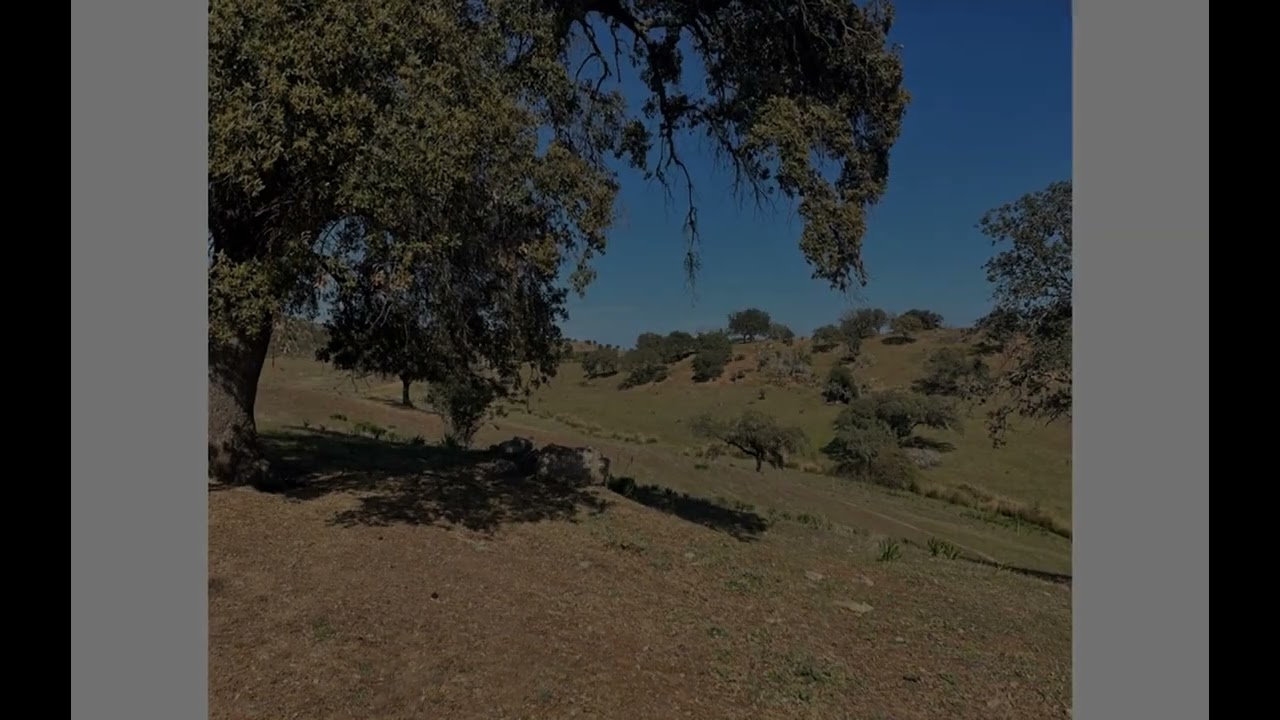 Vídeo do imóvel