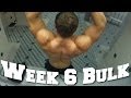 Week 6 Bulking at 204 lbs!
