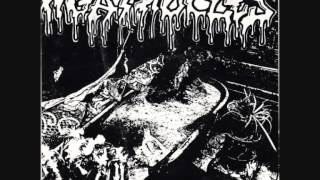 Agathocles - Big-Headed Bastards