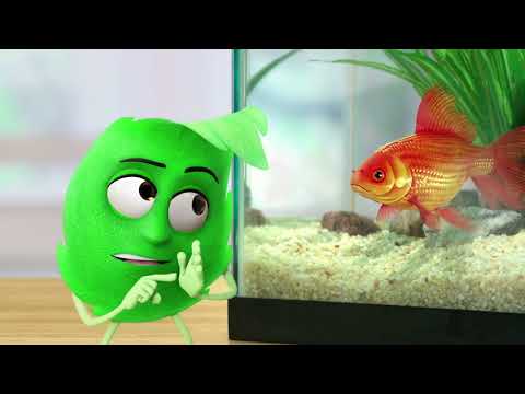 Jamieson Omegas With No Fishy Aftertaste