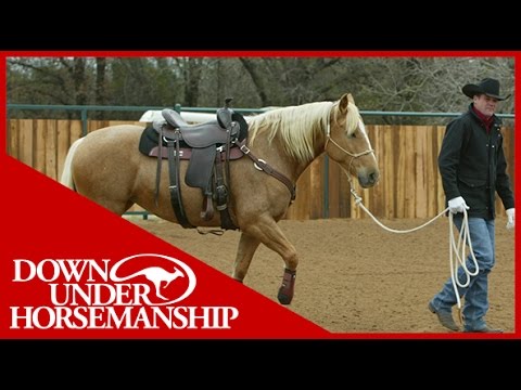 Clinton Anderson: Training a Rescue Horse, Part 13 - Downunder Horsemanship
