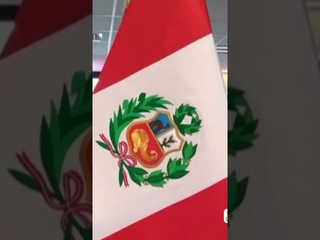 Vídeo relacionado con 2 Piezas Bandera de vietnamita Vietnamitas Estados Gancho y Lazo Bordado Moral Nacional Aplicación Emblema Parche