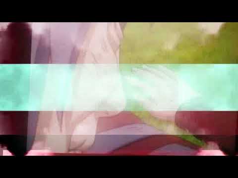 Rio Stvr Music Video