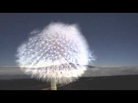 Matt G. Feat. Lucas Hache - Invisible Lights (Original Vocal Mix) [OLD SQL Recordings]