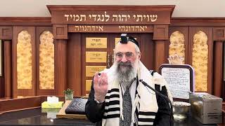 למה מביאים פרי חדש בראש השנה (הרב יצחק ישראלי) - התמונה מוצגת ישירות מתוך אתר האינטרנט יוטיוב. זכויות היוצרים בתמונה שייכות ליוצרה. קישור קרדיט למקור התוכן נמצא בתוך דף הסרטון