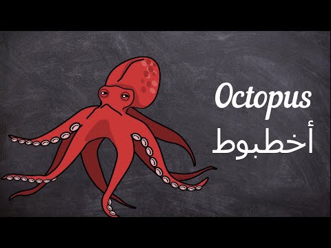 كلمات انجليزية معربة