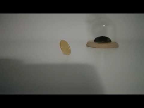 Huawei P40 Pro: lo slow motion a 7.680 fps