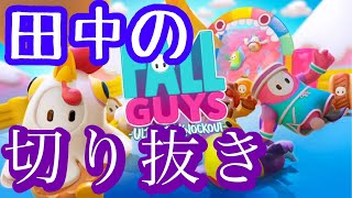 【切り抜き】投稿者本人が自分の配信を切り抜いた【フォールガイズ】