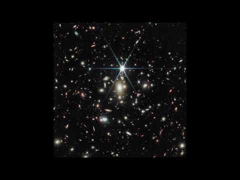 AnnenMayKantereit Schon Krass - WILLY WOMBAT