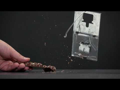 Metal fare kapanı nasıl kurulur