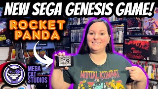 I Can't Believe There Are NEW SEGA GENESIS Games in 2024!
