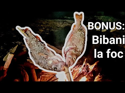 With a kayak in JANUARY - A FISHING TRIP with UNEXPECTEDLY much ACTIVITY on the Paltinu Dam