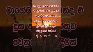 Download lagu නිවන් දකින්න කාලය පැමිණ ඇත. #motivation #love #quotes mp3