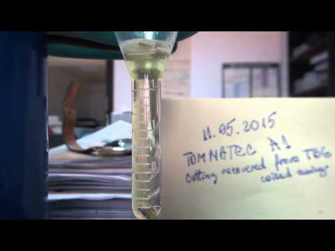 Tomnatec A1 ~ cuttings recovered 10th of May 2015