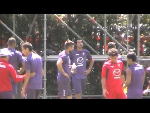 Fiorentina Supports Attacchi di Pane