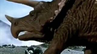 Capsule - "Flash Back"