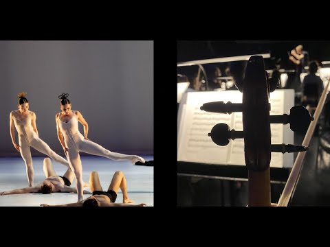 NIEUWSFLITS - Eindsprint van 41 dagen!