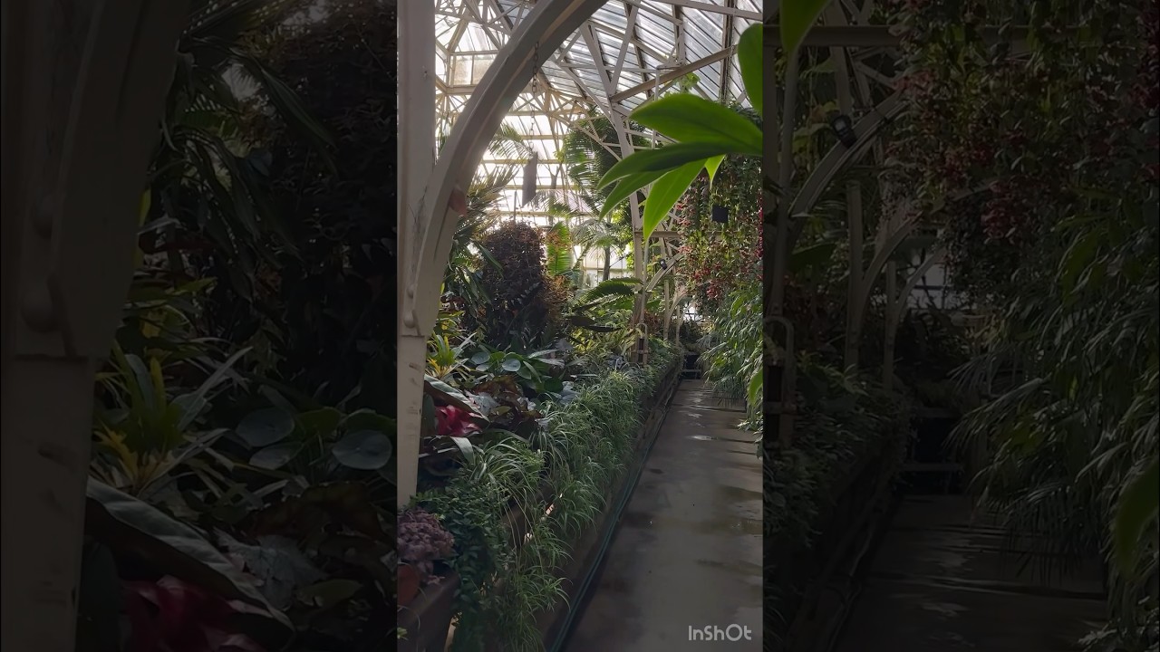 YouTube Short thumbnail