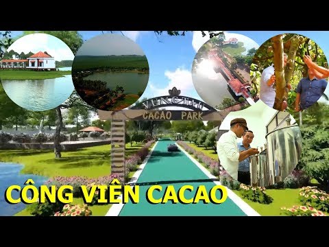Binon Cacao Park - A unique model of farm tourism and chocolate production in Vietnam