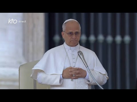 Audience générale du 29 octobre 2025