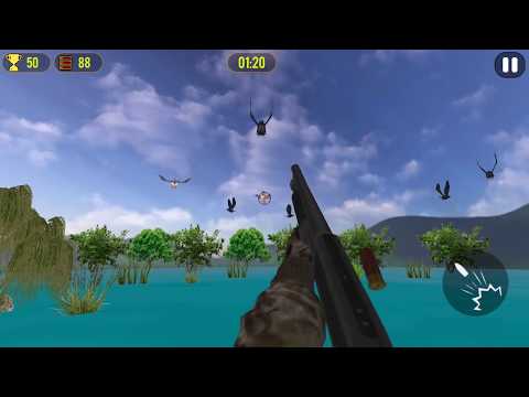 Duck Hunting 3D Video