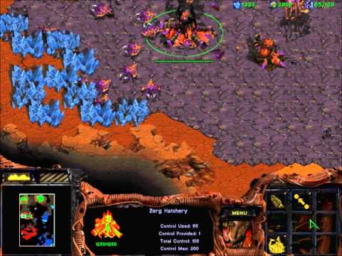 StarCraft Broodwar! -  Zerg mission 5 :TRUE COLOURS!