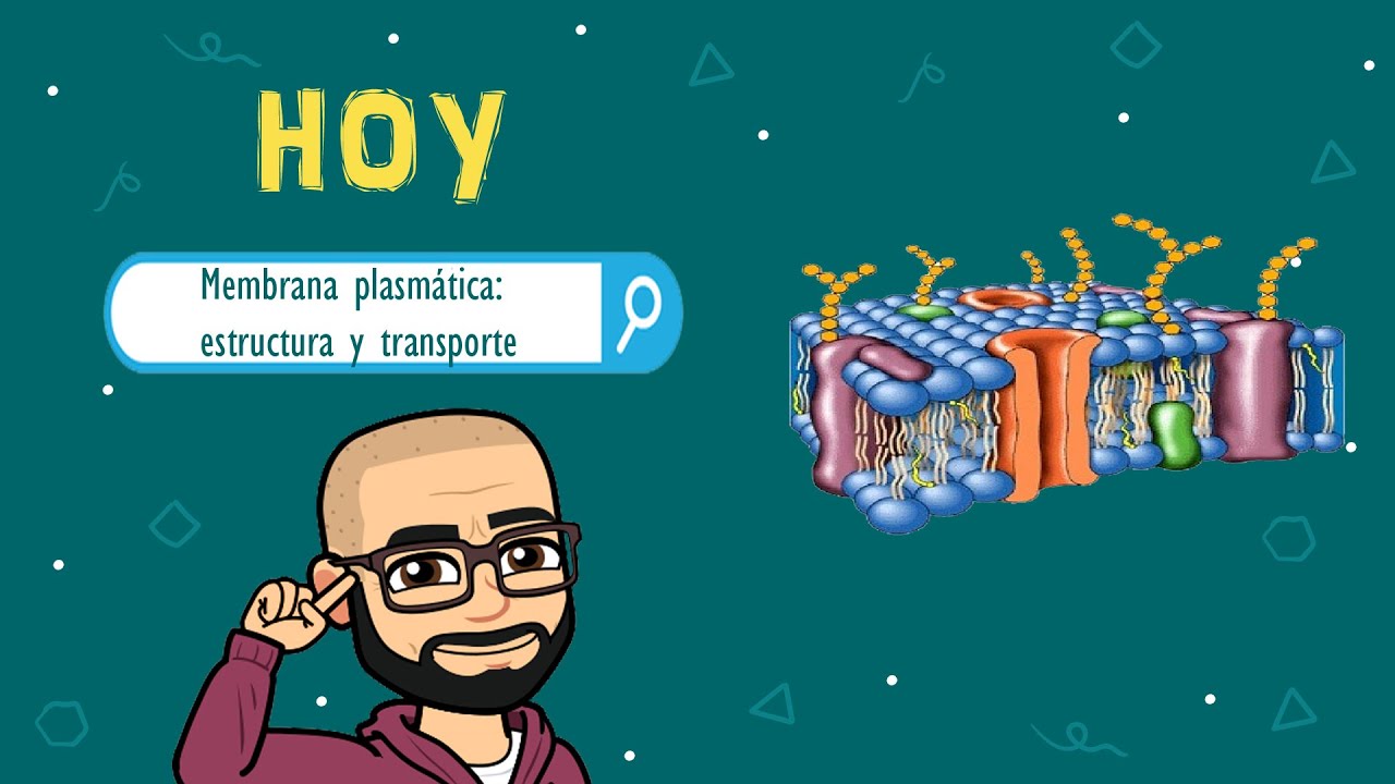 Membrana Plasmática: Estructura y función